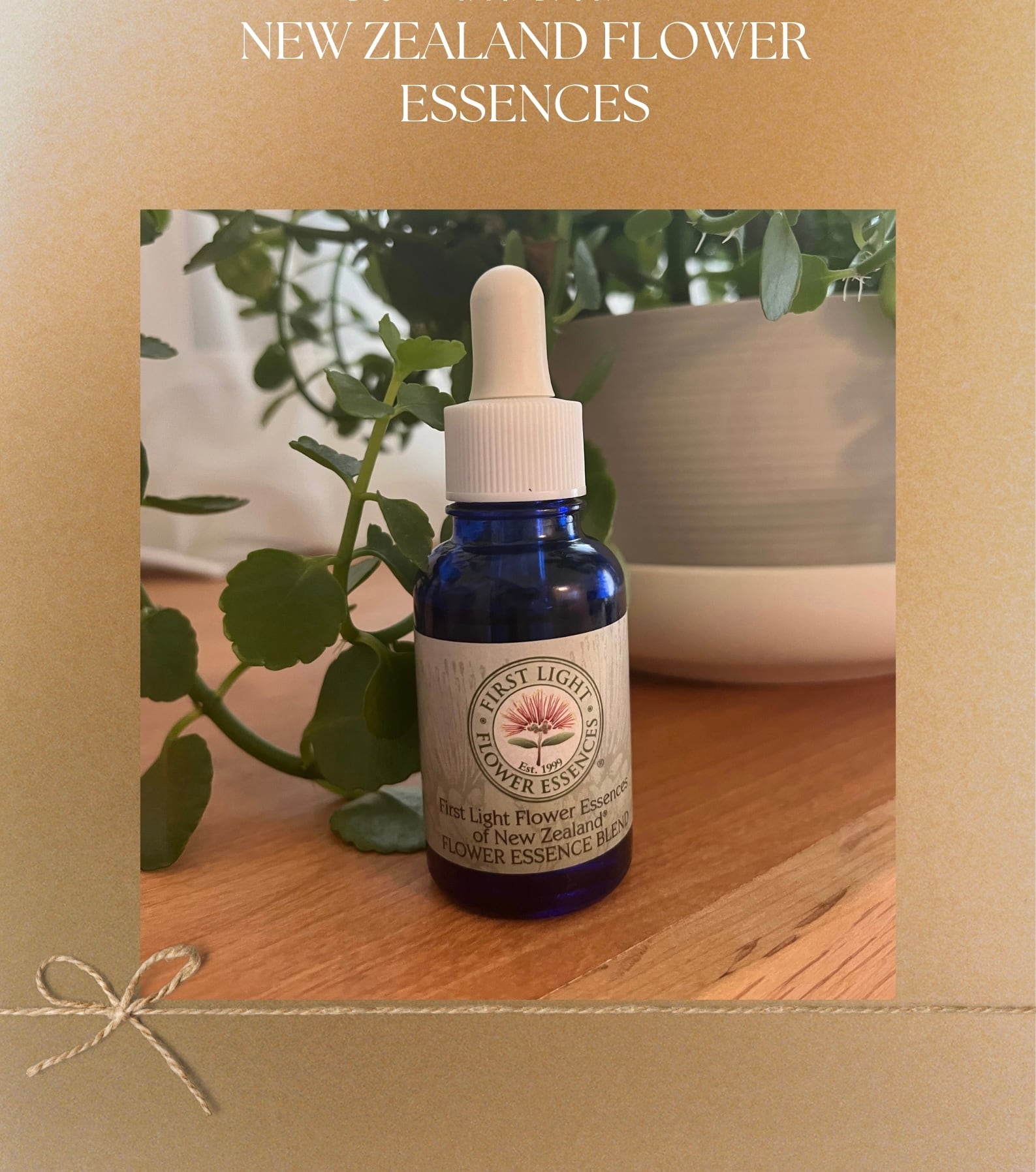 自力インプラント除去セットフラーレン＆FABクリーム5ml アネモネ3月号掲載