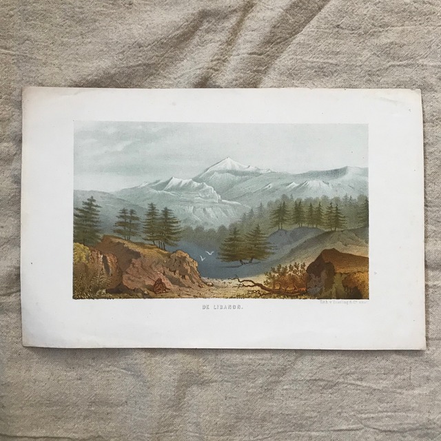 山の風景の紙