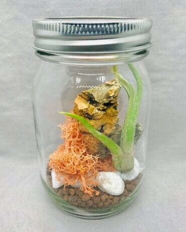 +MOSS TERRARIUM/苔テラリウム(タンジェリン)