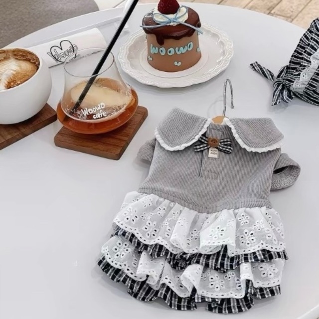 classic lace collar dress