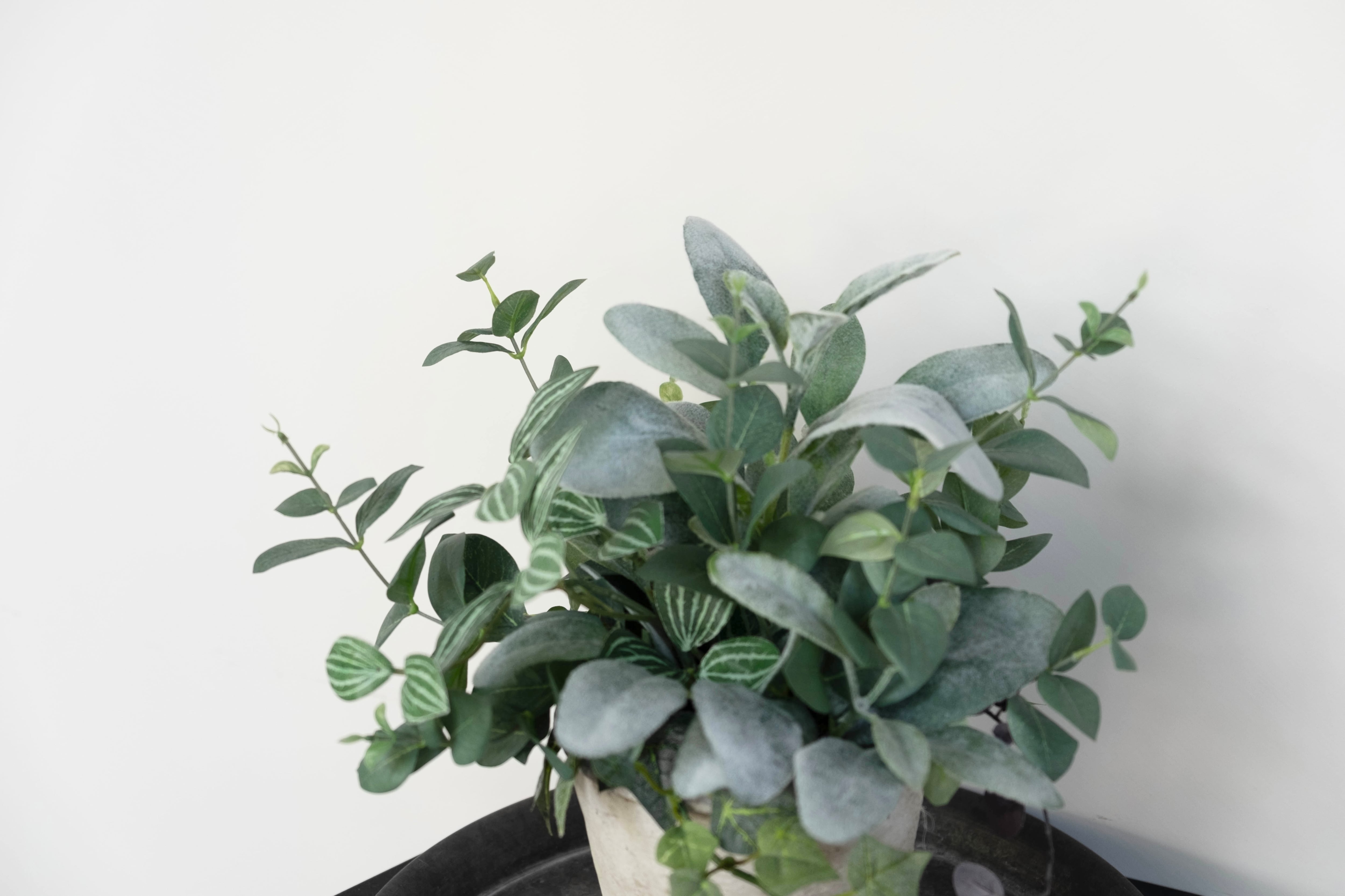 グリーン寄せ植えMix pot/アーティフィシャルグリーン/フェイク