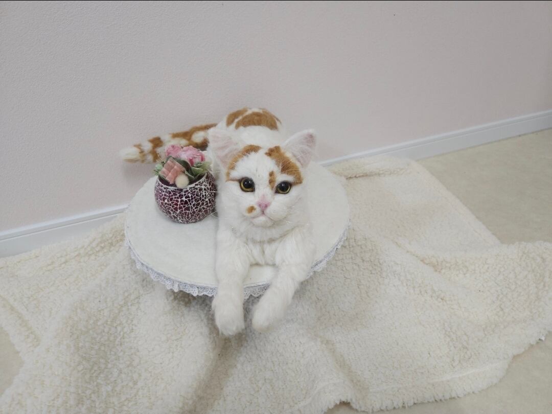 専用　先着１名　犬　猫　ペット　羊毛フェルト　犬　ハンドメイド　犬　羊毛フェルト うちの子ペット 犬 猫 ペット 犬 羊毛フェルト ぬいぐるみ 犬毛 猫毛