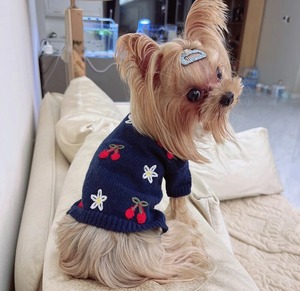 トップス☆