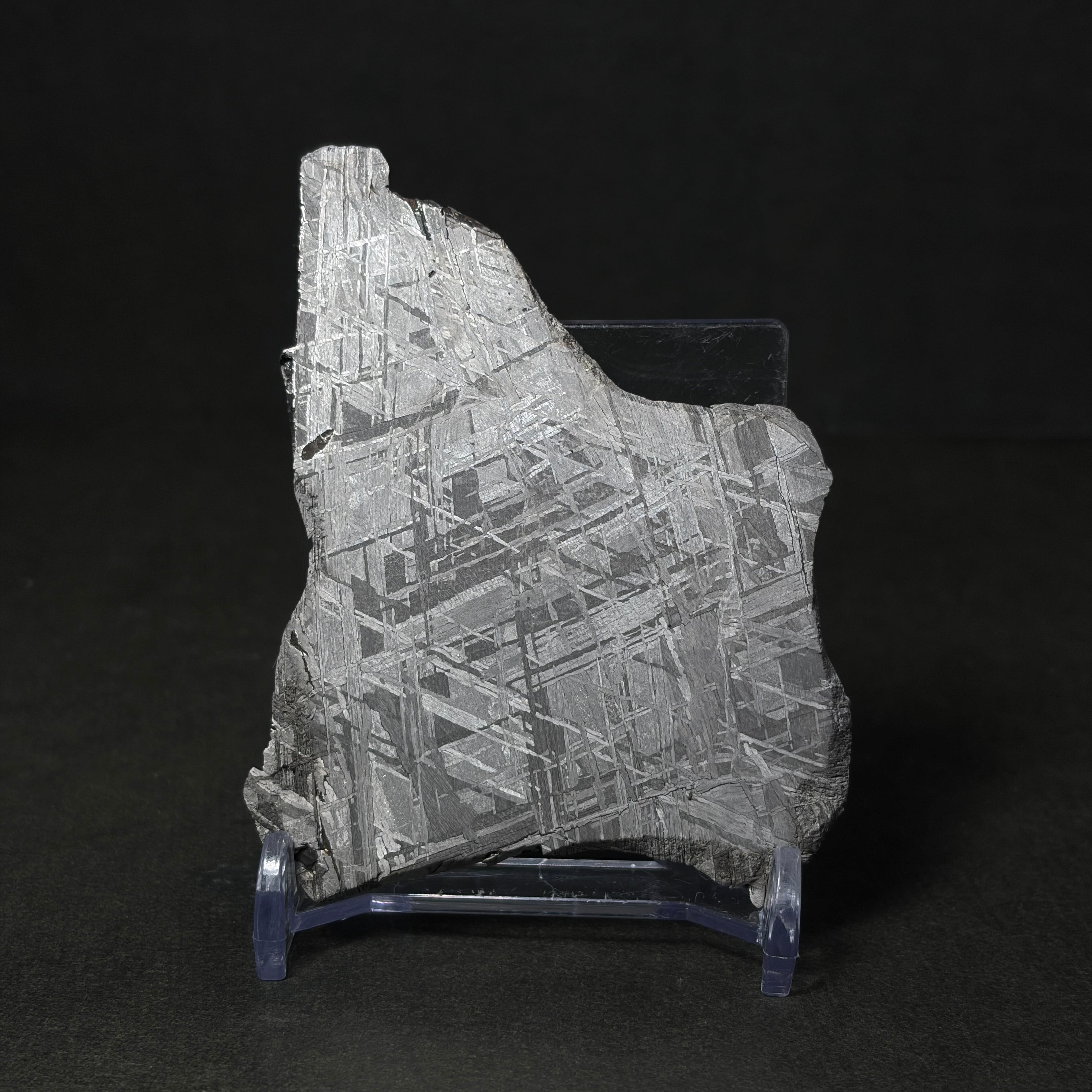 隕石絵画】ギベオン隕石 Gibeon Meteorite 26050602 | 【隕石屋