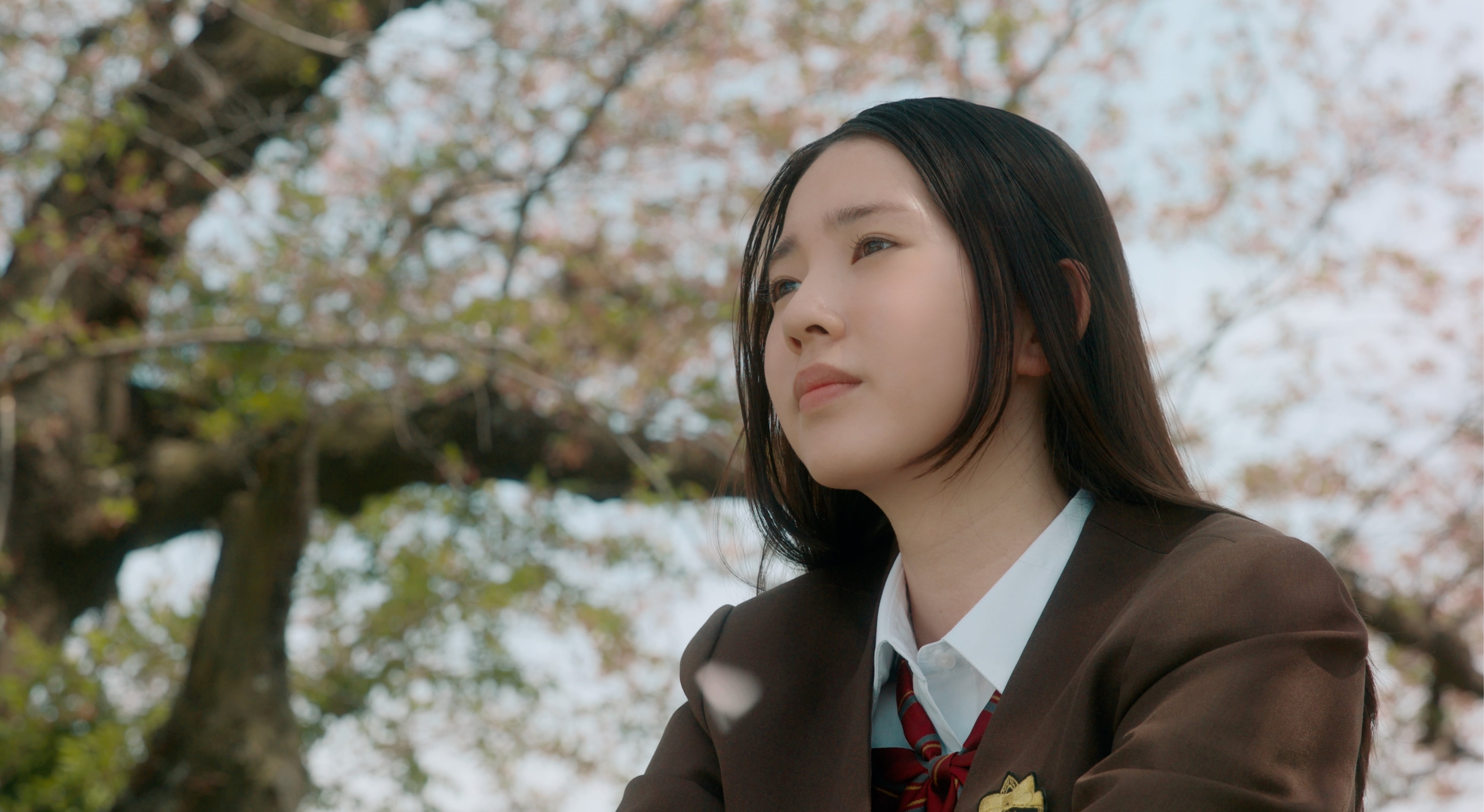 初回限定1000セット生産スペシャルエディション】春の香り ブルーレイ