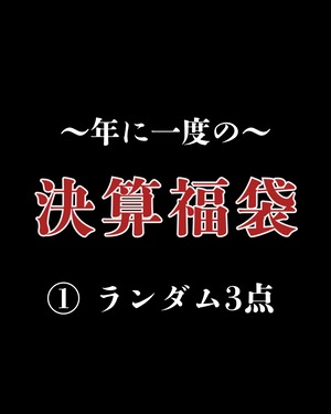 【決算福袋】①福袋 ~ ランダム3点 ~