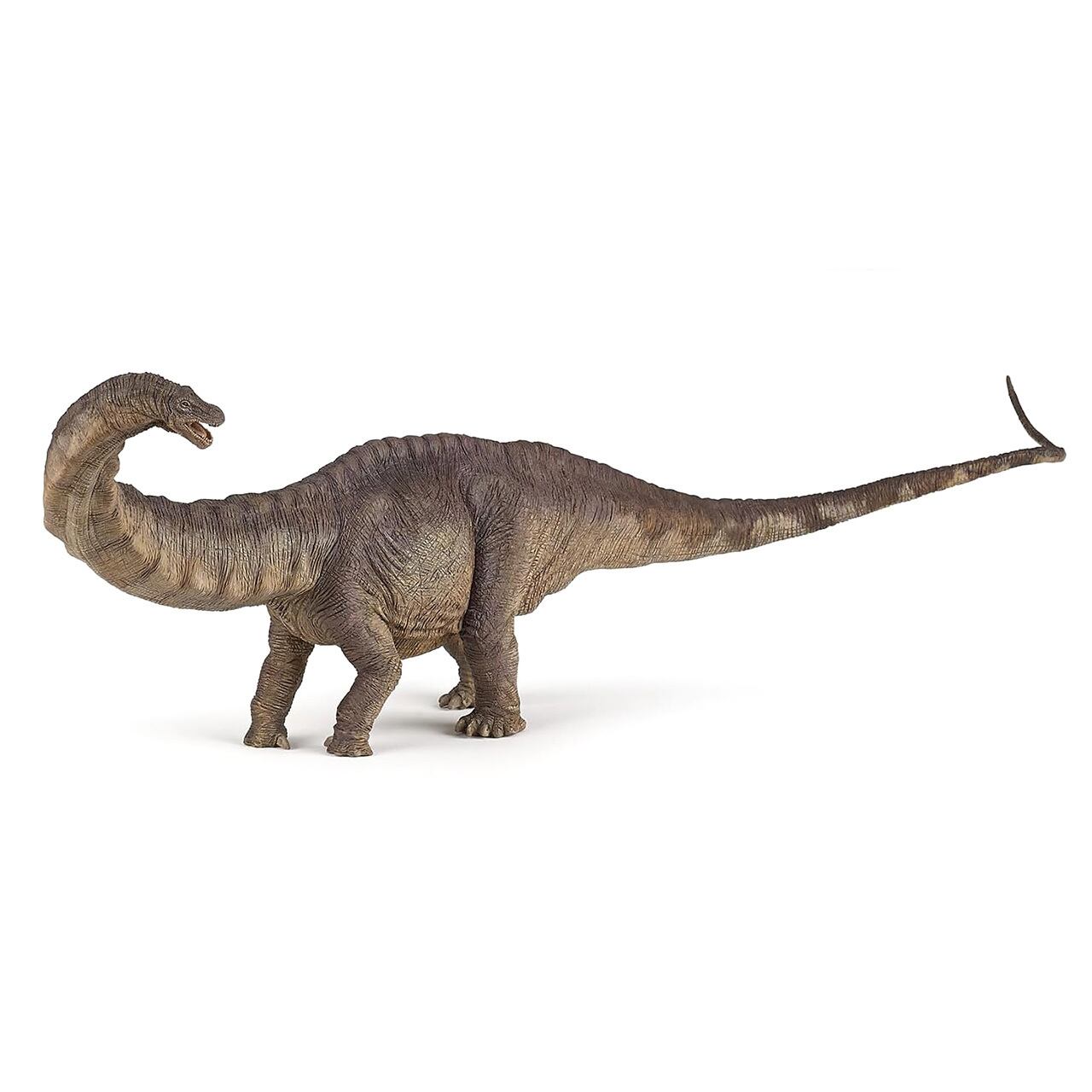 PAPO アパトサウルス | Earth8toys
