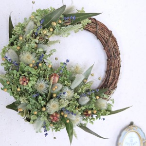 【１点もの 約直径30cm 】７種のグリーンと富良野ラベンダーのハーフムーンリース ＊ フラワーリース ドライフラワー 北欧インテリア 開店祝い 誕生日 ギフト ナチュラル かわいい ボタニカル おしゃれ 春色