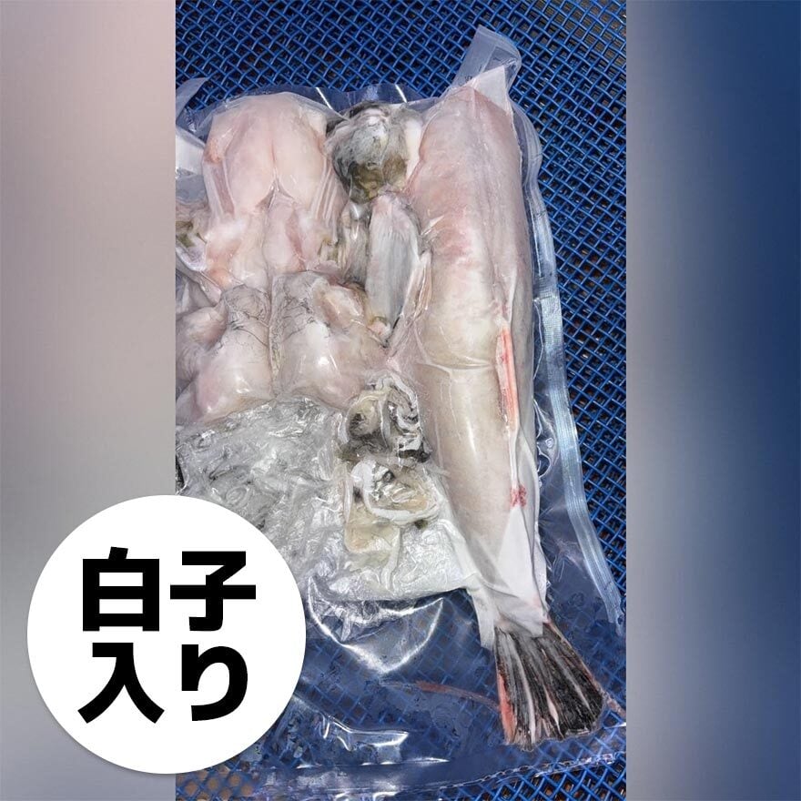 魚新商店　南知多産 活〆天然トラフグ 白子入り身欠　原魚約1kg（冷蔵）