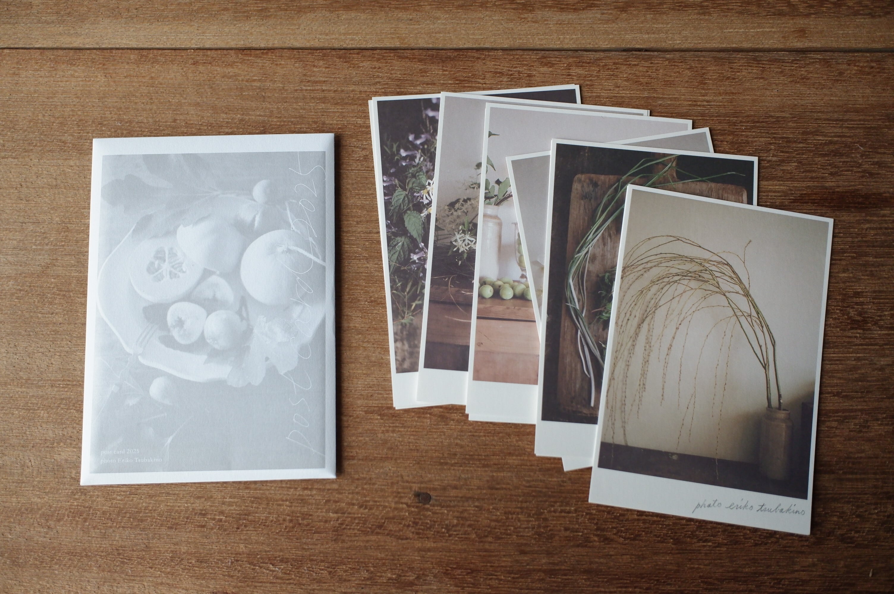 椿野恵里子 2025年ポストカードセット | 木琴堂