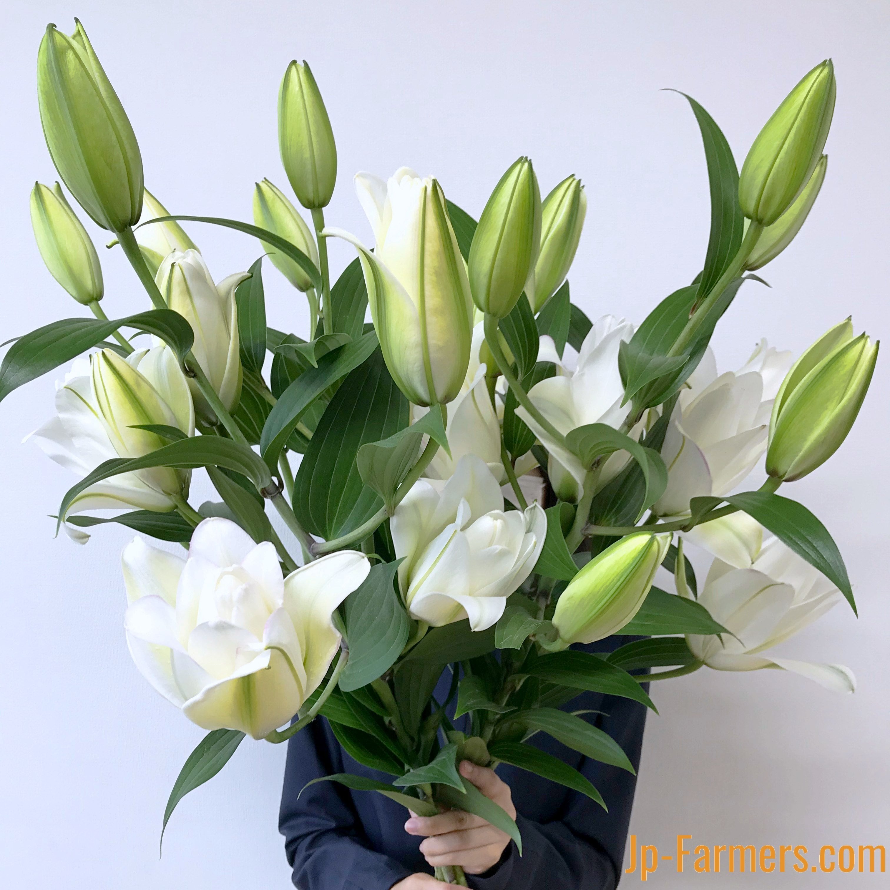 JA北魚沼農協のオリエンタルユリ ゴージャスの極！八重咲ユリ