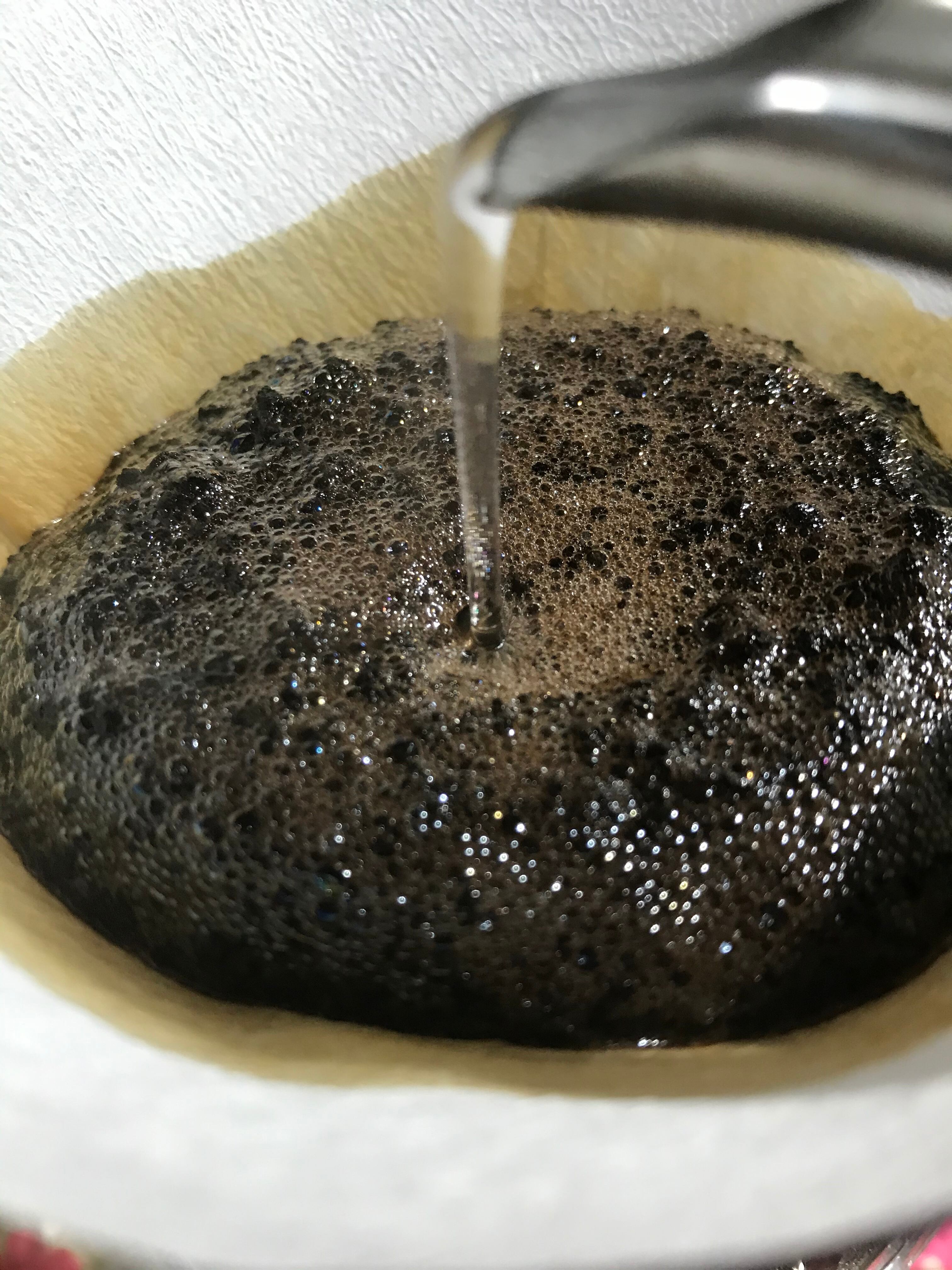 【ケニア】マサイAA ［1000g］極深煎り　自家焙煎珈琲