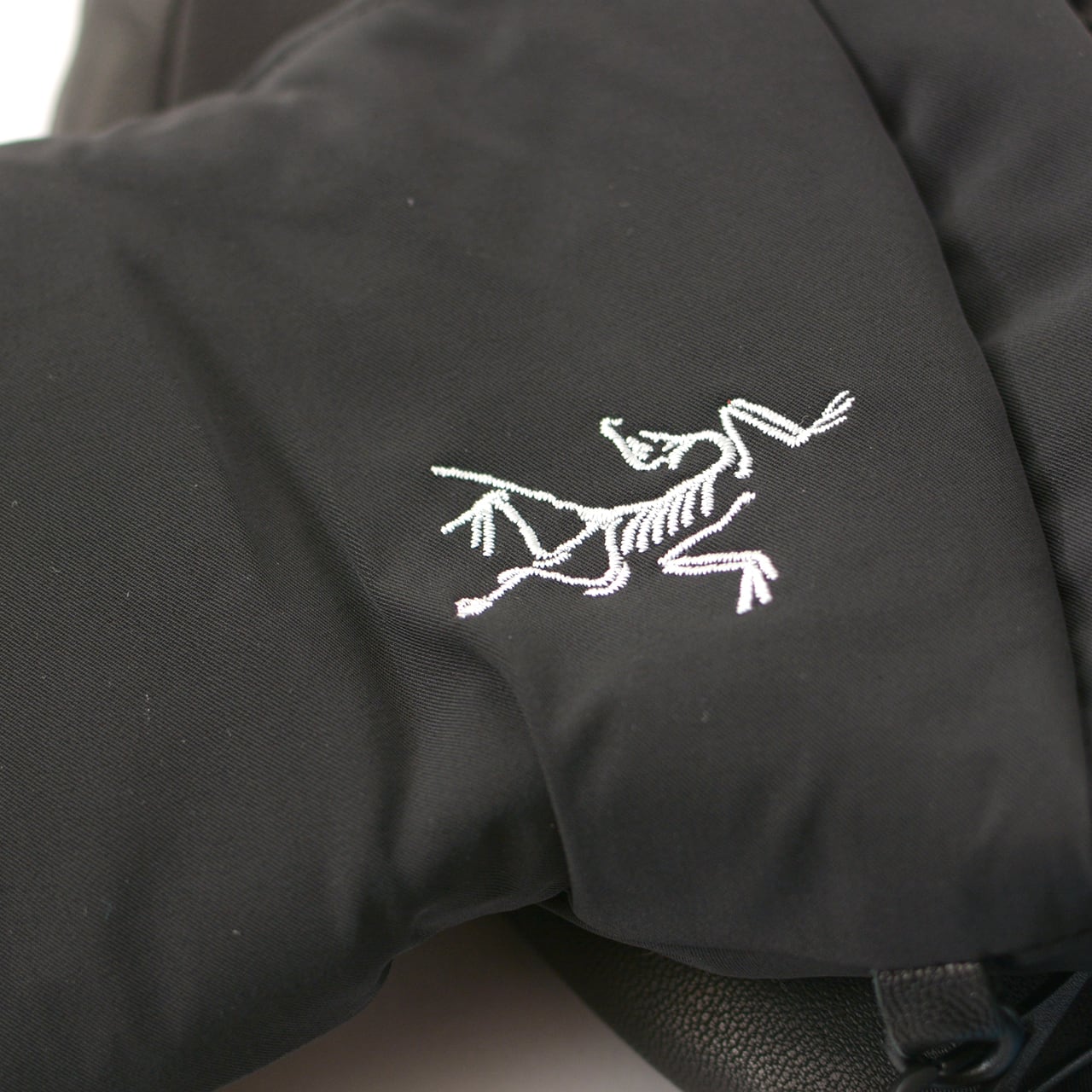 ARC'TERYX [アークテリクス] Fission SV Mitten [30003/06527