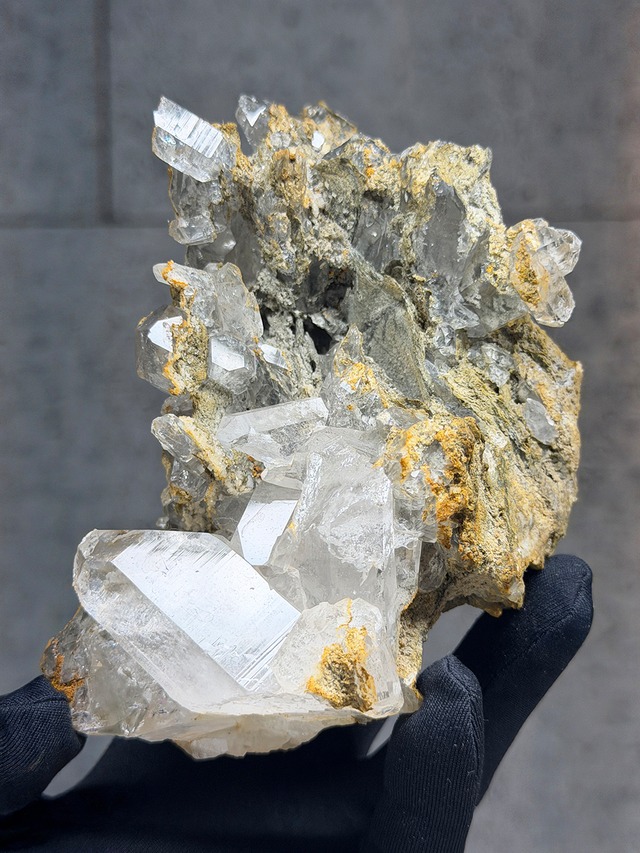 専用販売ページ【No.079】