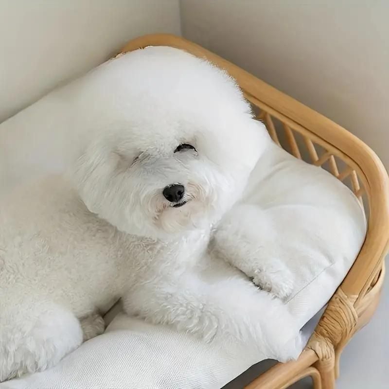 ペットベッド ペットソファ チェア クッション 犬 猫 ラタン バスケット ペットベッド ペットソファ チェア クッション 犬 猫 ラタン