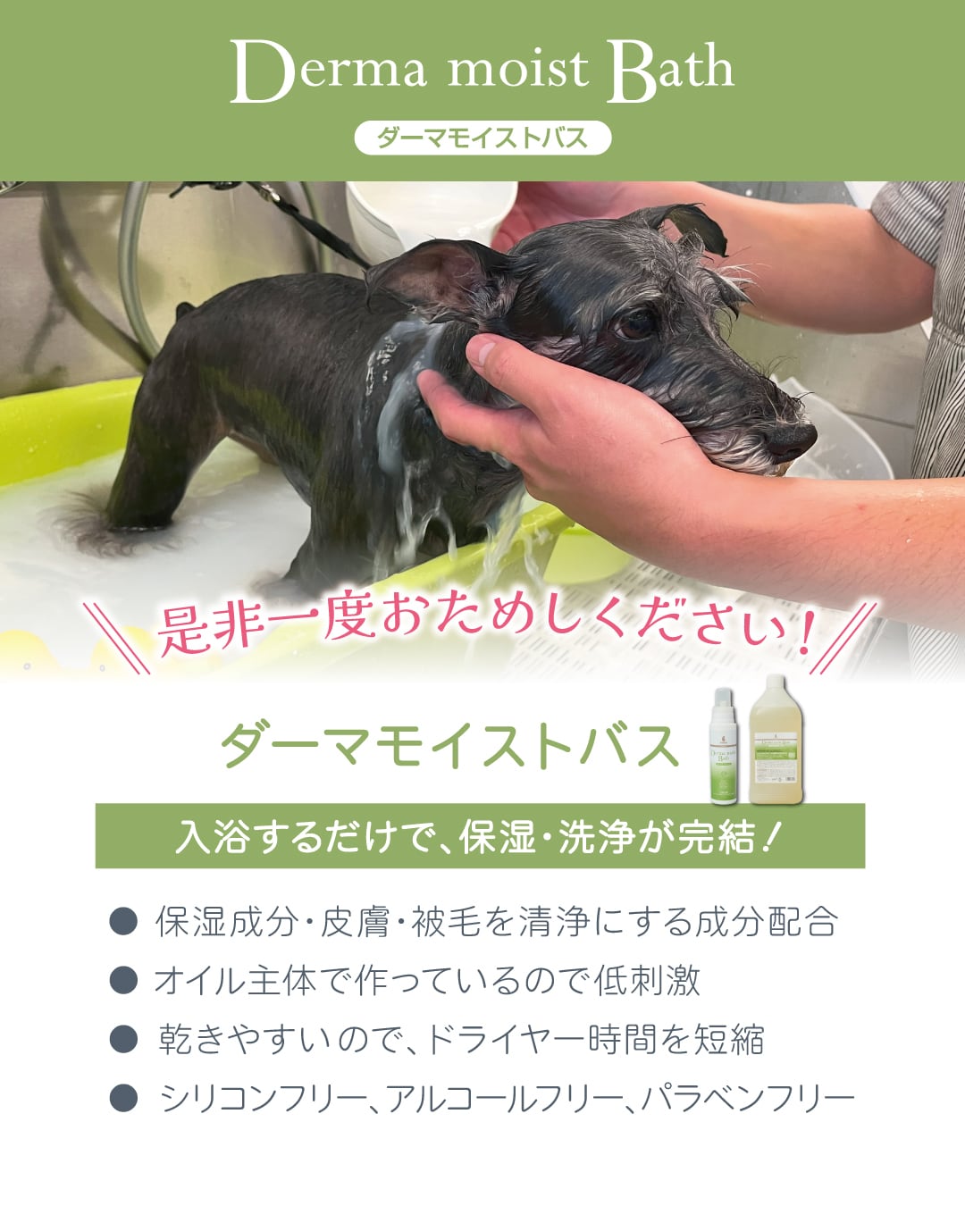 犬猫）〈入浴剤〉ダーマモイストバス 400ml【BASICS】〈在庫