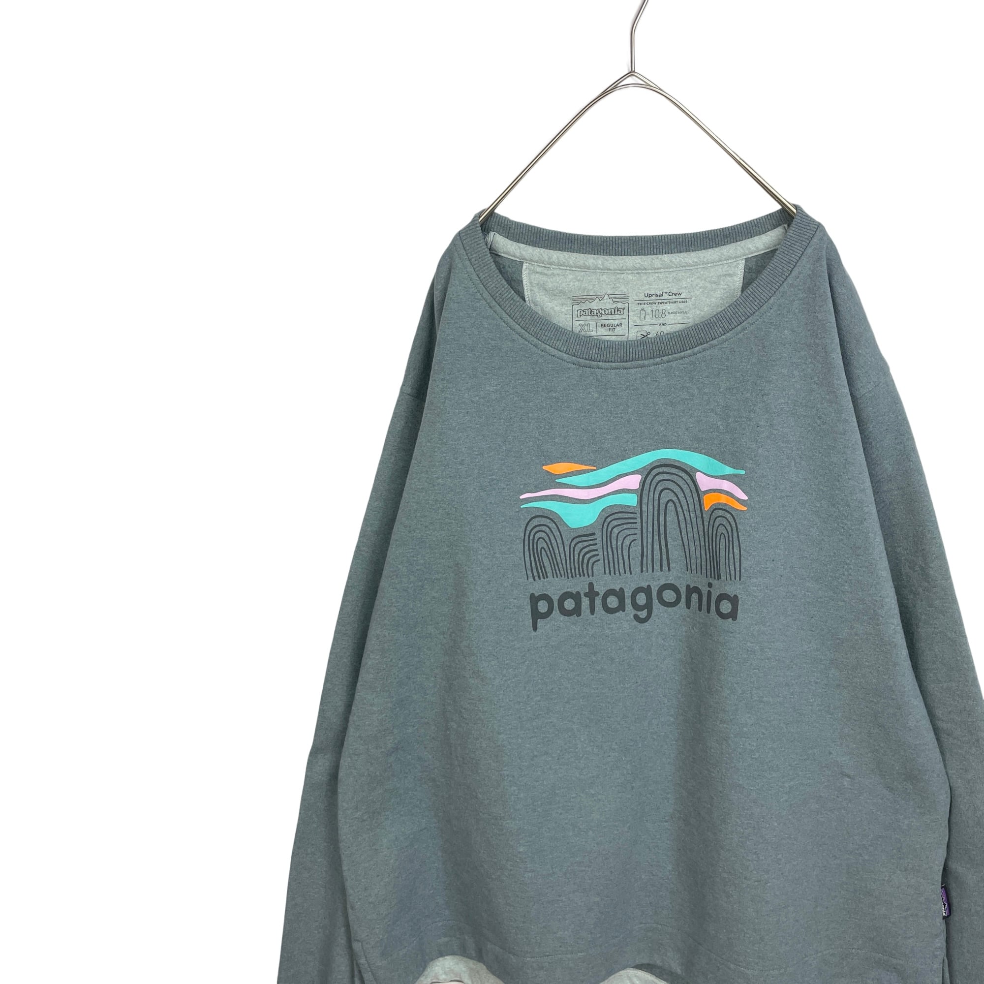 Patagonia パタゴニア　スウェット　トレーナー　薄手　プリント　グレーM