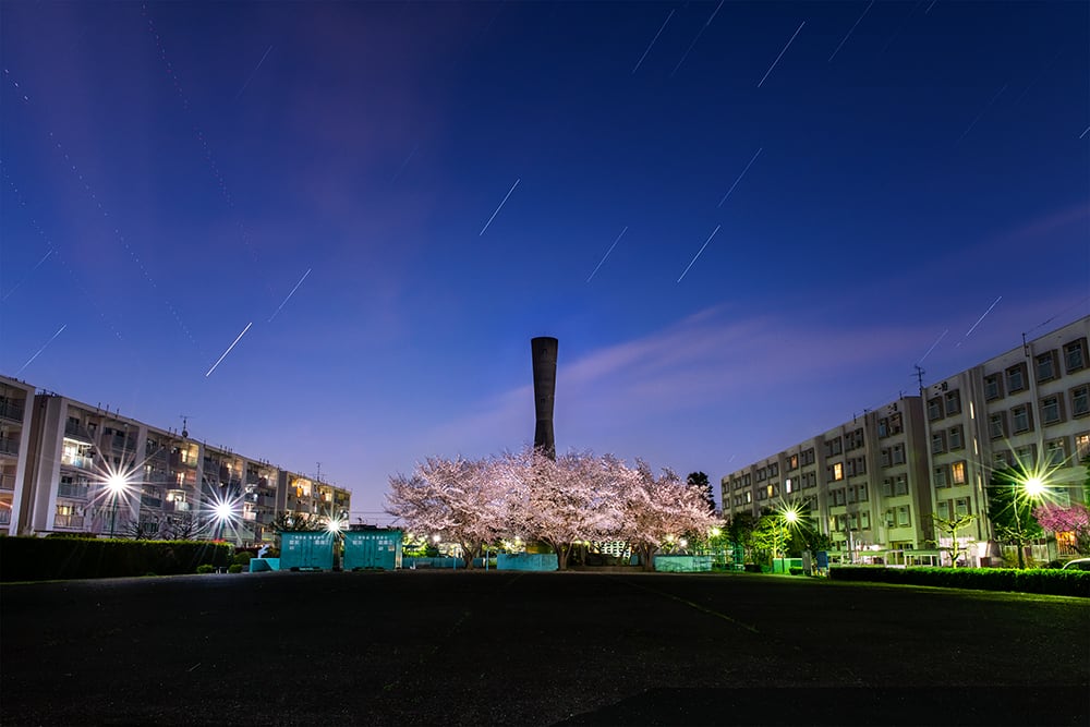 53e9d3d2897e257800d82202a14f5a