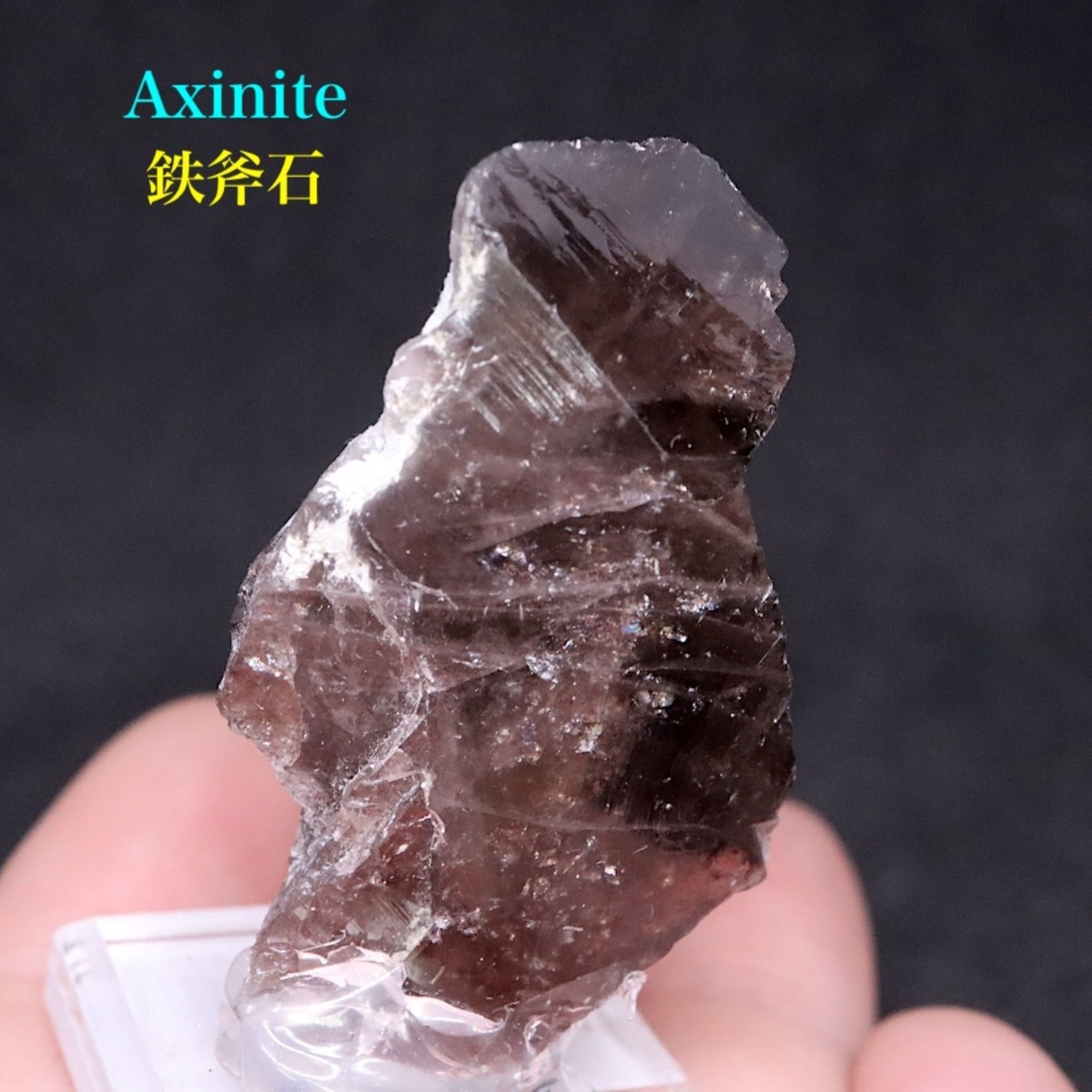 アキシナイトリング斧石リング天然石リング-定価6.8万 ANAYI 24SS 撥水 