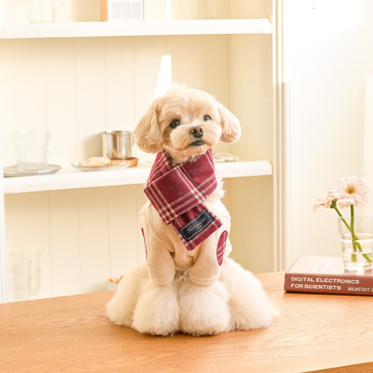 予約 【kiki&nini】wnie Classic Check Muffler (バーガンディー.ネイビー)