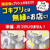 大日本除虫菊 ゴキブリ ムエンダー 家中まるごと 駆除 40プッシュ(最大60畳) 無煙