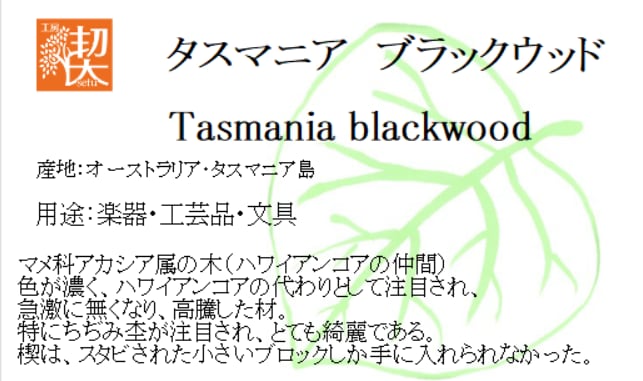 0.5mmペンシル楔 タスマニアブラックウッド 2 | 工房 楔（せつ）