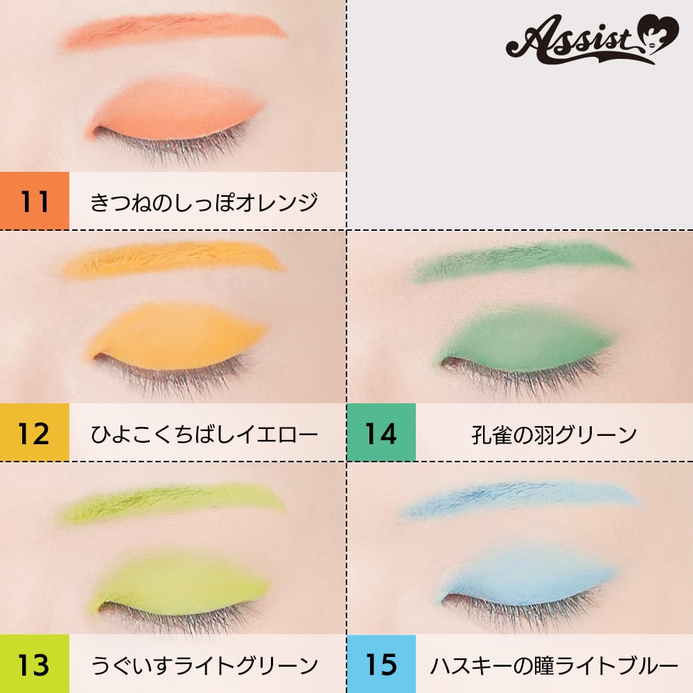 アシストウィッグ【25色メイクアップパレットAS】アシストオリジナル