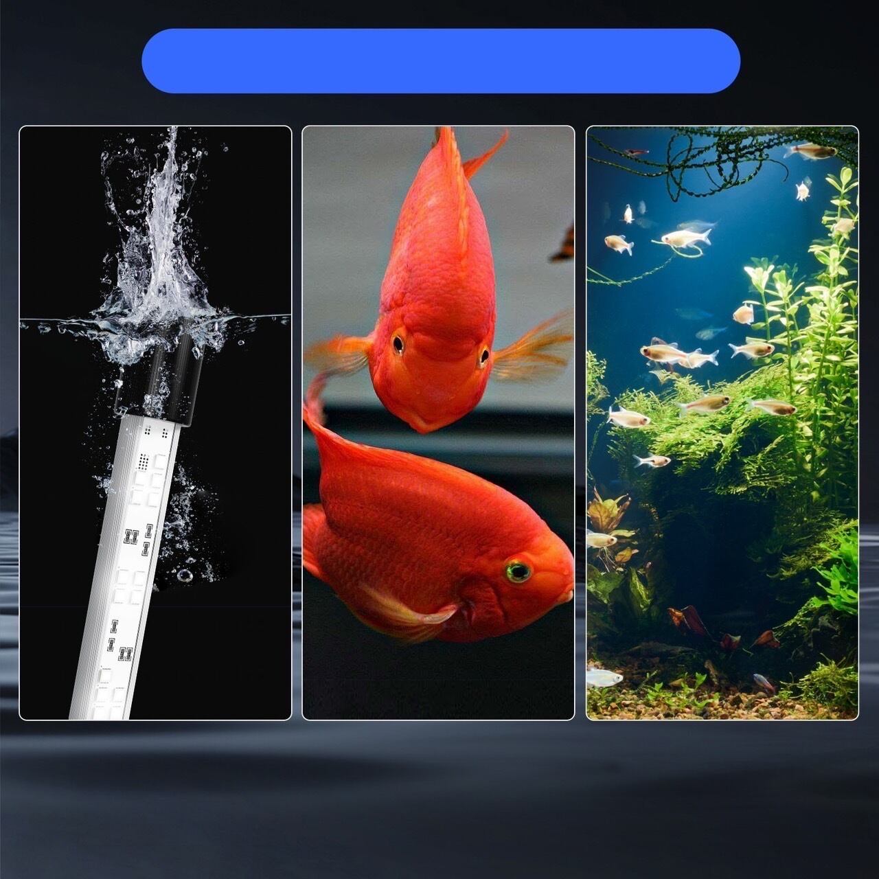 アクアサンライト 900用 価格は送料込み PSE取得済 | アクアショップ