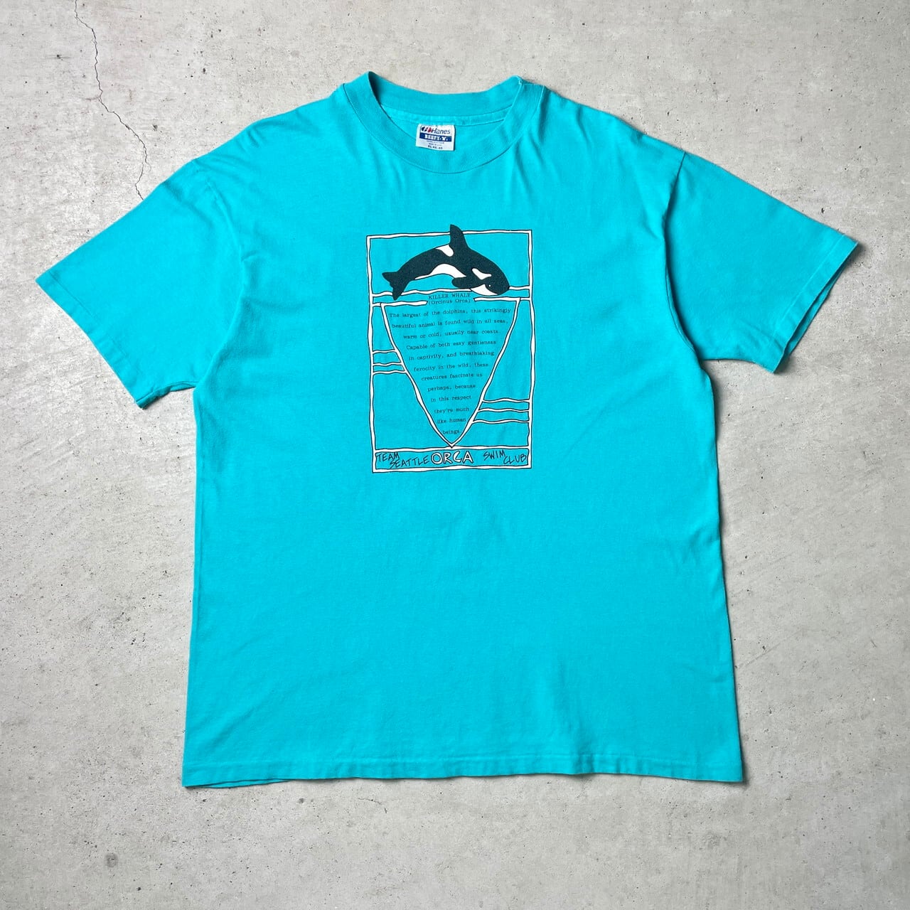 80年代 Tee Jays プリントTシャツ USA製 メンズM ヴィンテージ /eaa351326