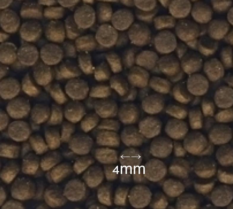 犬・Kennels' Favourite「プティ・パピー」2㎏/小型犬＆全犬種パピーの