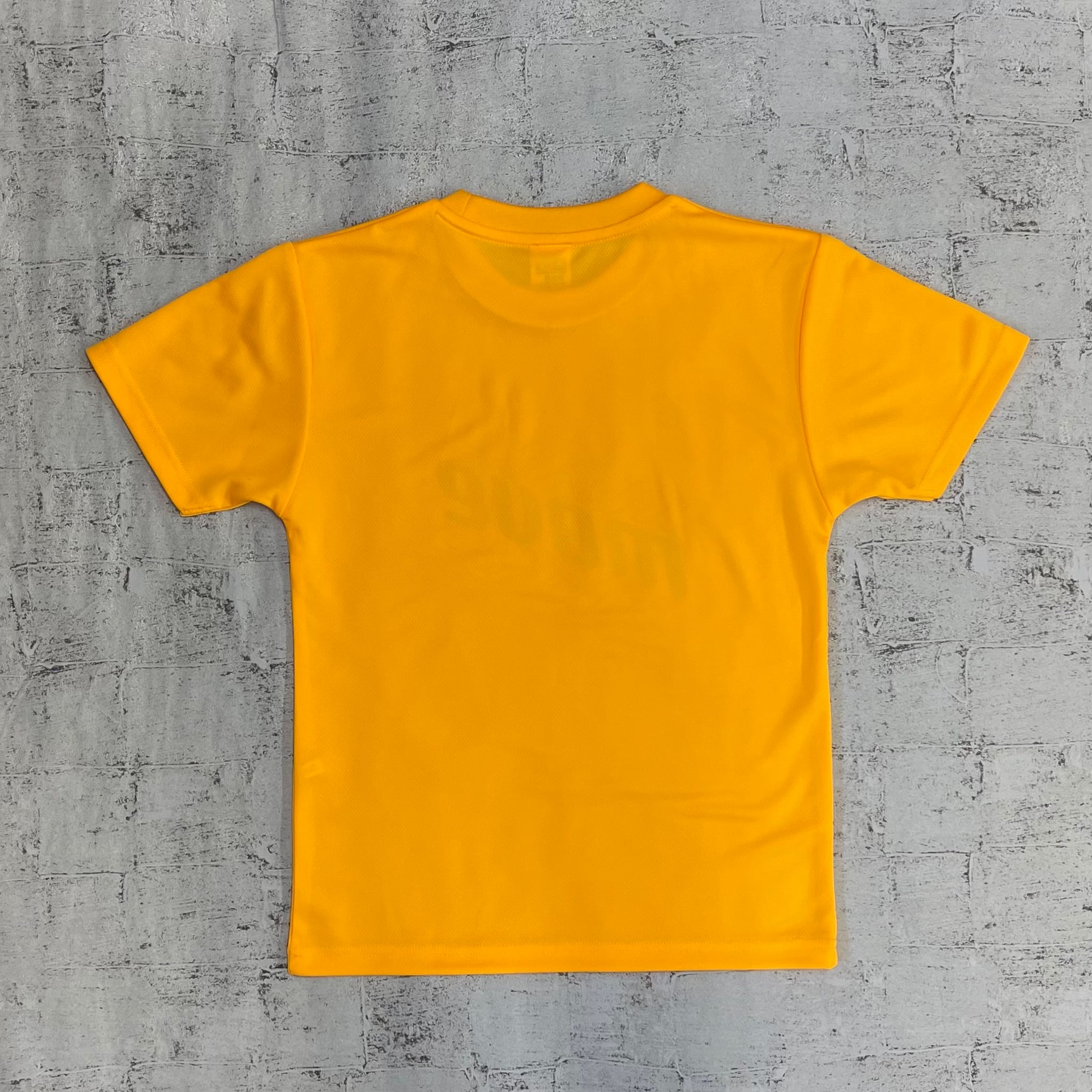 ジュニア ドライTシャツ 25JTB【light orange × green】