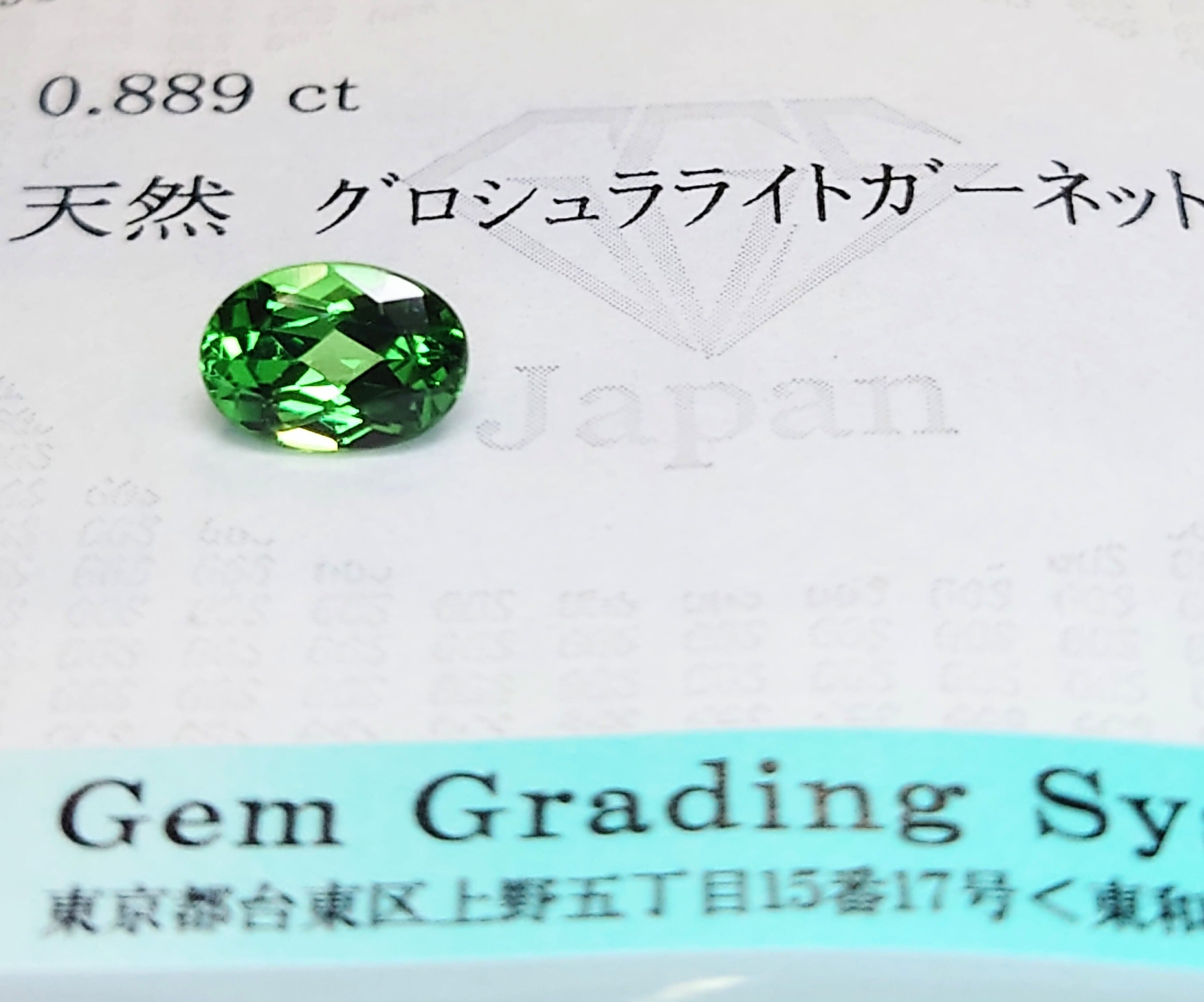 Mint Garnet (Grossularite Garnet) 0.889ct ソ付 ルース☆ | wisteria777