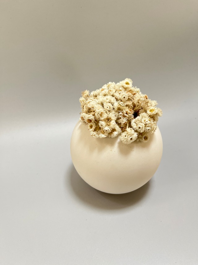 Pearly everlasting object 山母子のインテリアオブジェ