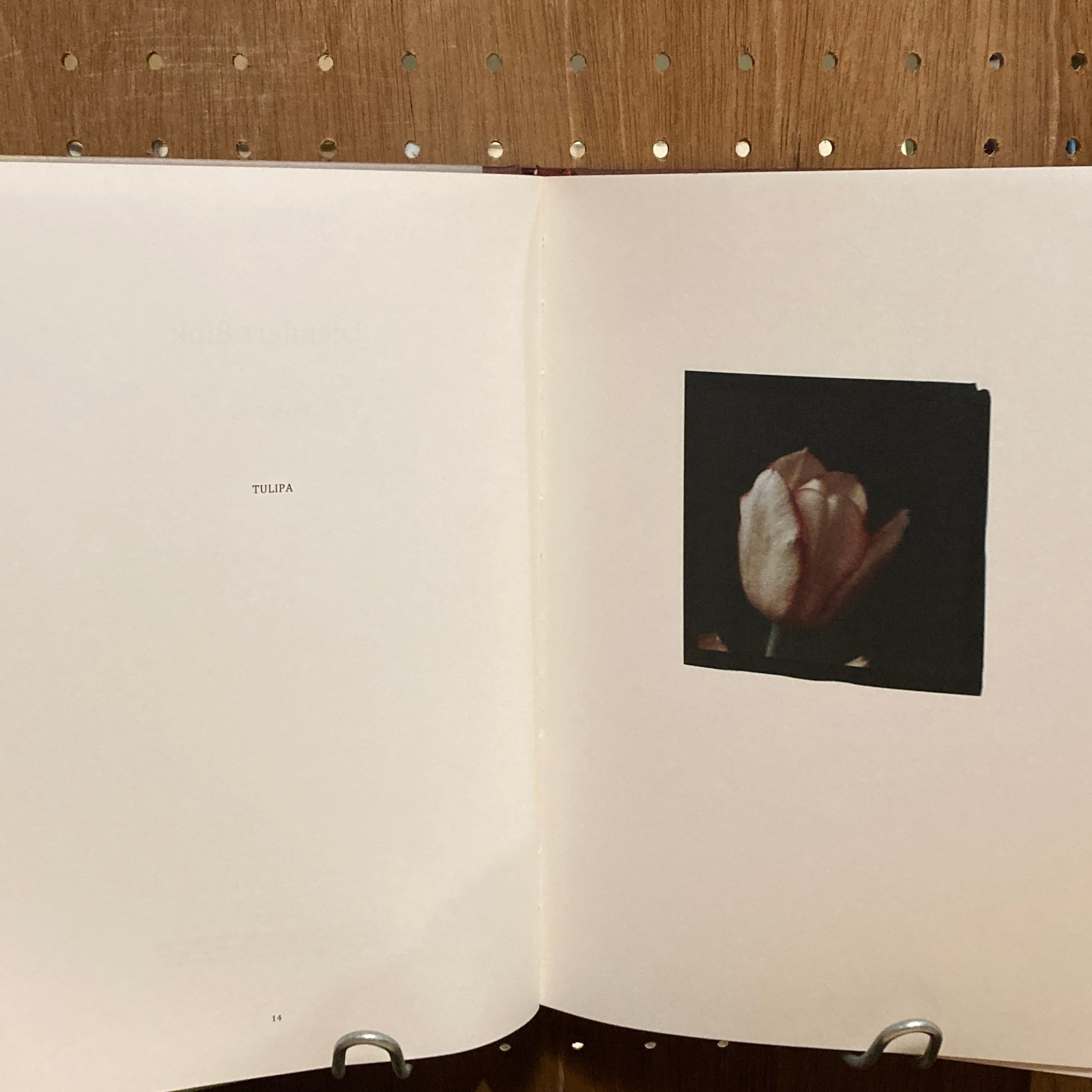 Les extravagantes / Leendert Blok, Gilles Clement | 百年