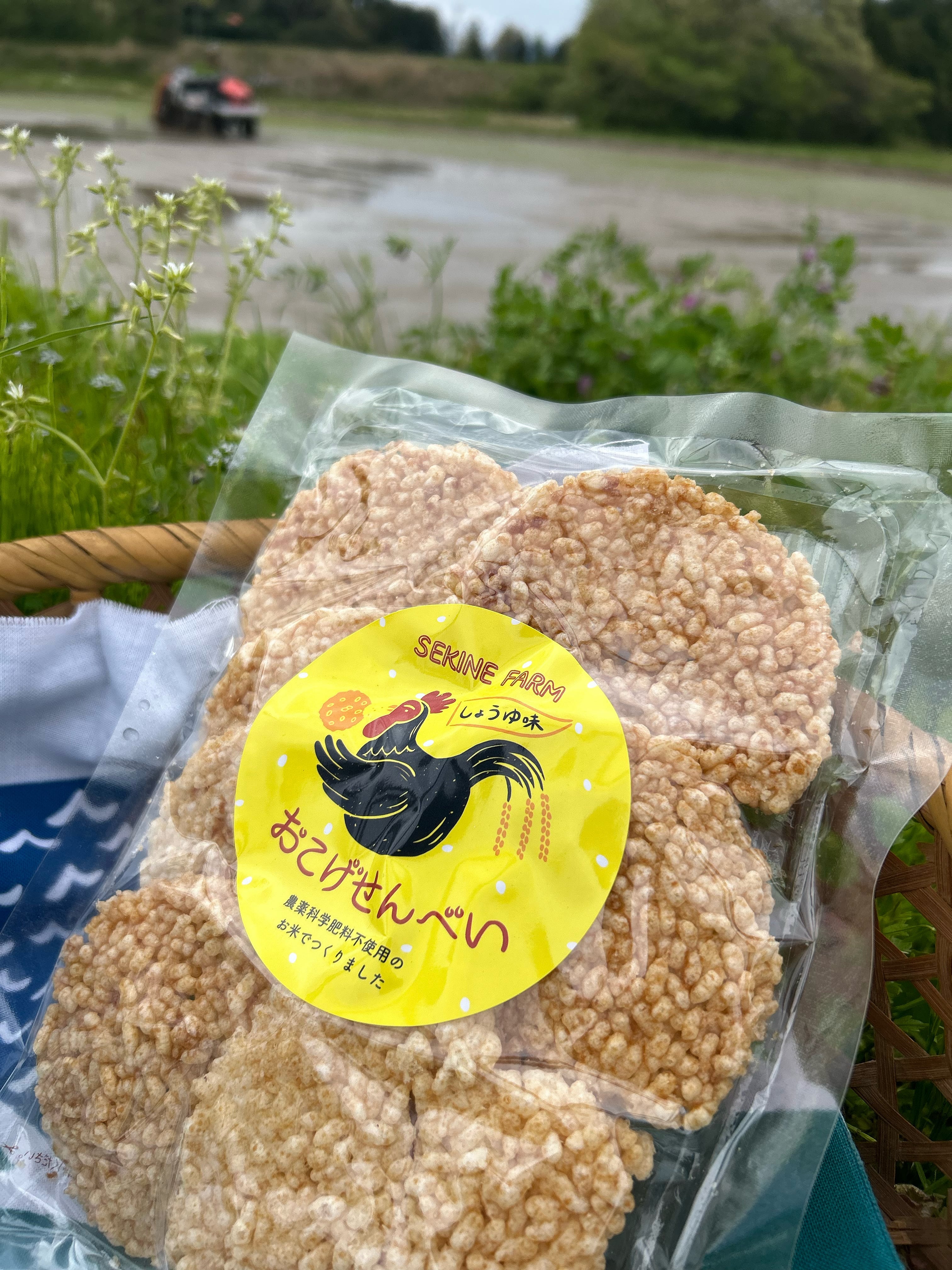 焙煎玄米粉 800g | 佐渡平清水せきね農園