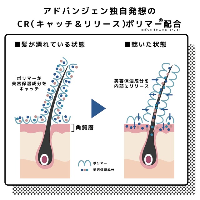 レキシリス ブラック フレグランス スカルプシャンプー (300ｍL)＆詰替え セット (250ｍL) (ヘアケア/頭皮ケア/匂いケア) シャンプー