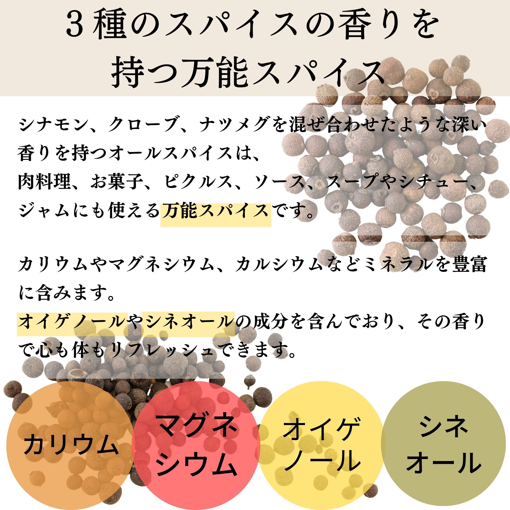 送料無料】オーガニック オールスパイス ホール 500g 有機JAS認証