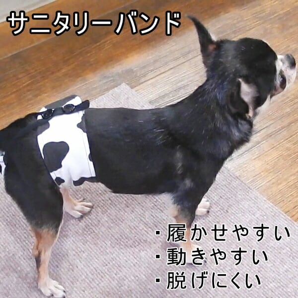 540209b7b725f45a5175258125204c