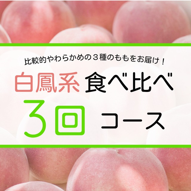 桃の予約販売開始！ YJ PEACH FARM ワクワク桃オンラインショップ