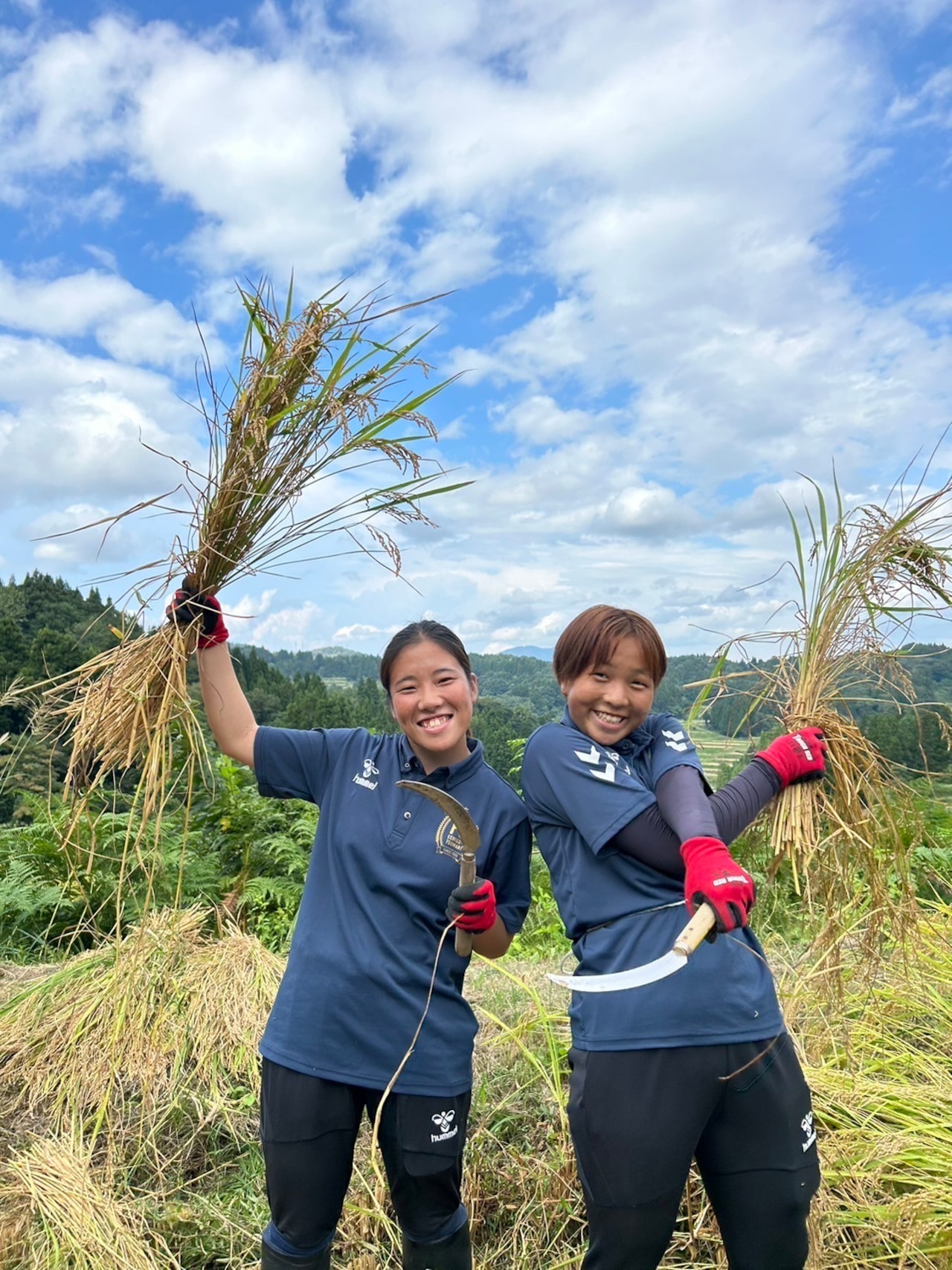 【2023年度産】 コシヒカリ「大地の米」10kg / Koshihikari Rice