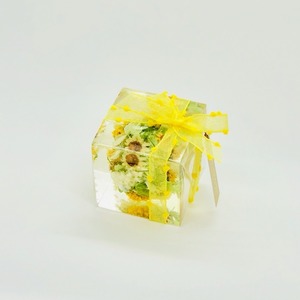 【父の日】クリスタルアートリウム　大バージョン