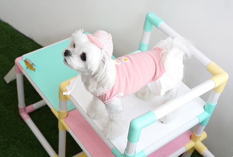 【SALE】 hiyoko onepiece set 2color S ~ XL  /  犬服 春夏 新作 ドッグウェア 袖なし シンプル フリル ドレス お揃い 犬の服 小型犬 中型犬 帽子セット 猫 onepiece44