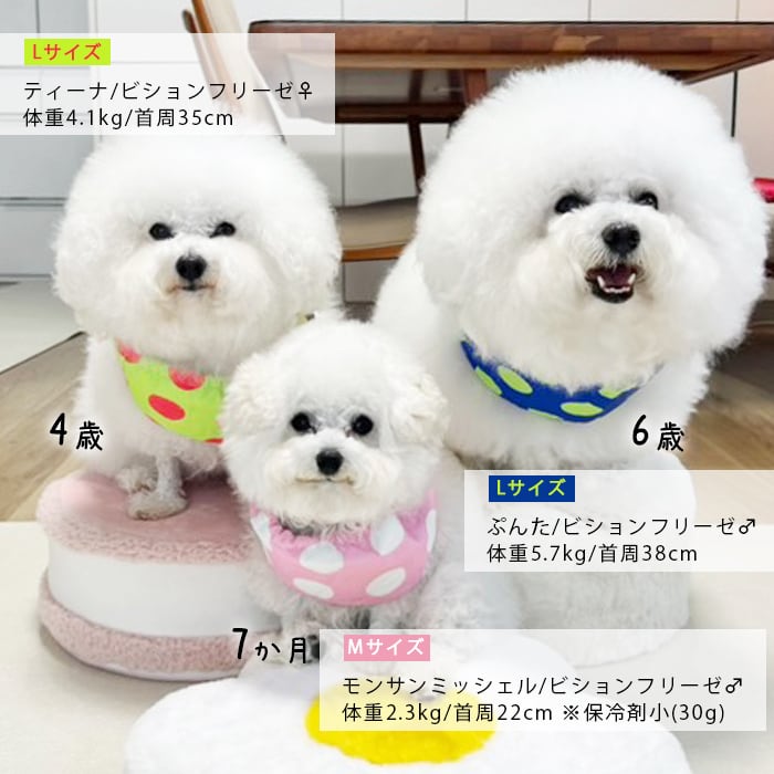 カラー2,5,6】KM863G 保冷剤付き クールネック 犬 リップストップ