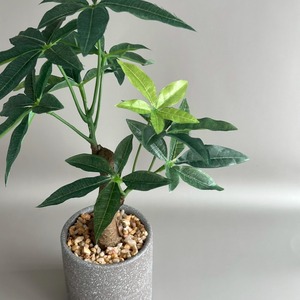 Green パキラ 鉢付き フェイクグリーン