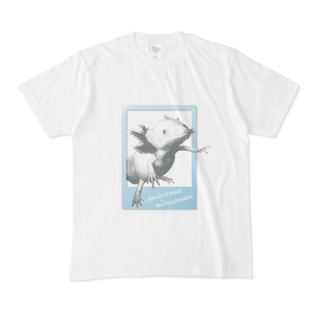 ウーパールーパー Tシャツ 水色 グレー 大人 メンズ 熱帯魚 送料込み 熱帯魚 ウーパールーパーモチーフ雑貨のfruit Parfait