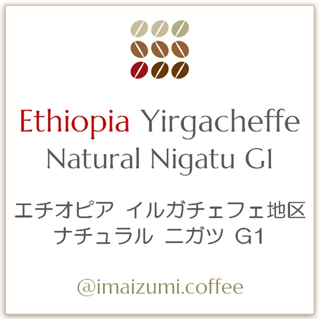 【送料込】エチオピア イルガチェフェ地区 ナチュラル ニガツ G1 - Ethiopia Yirgacheffe Natural Nigatu G1 - 300g(100g×3)