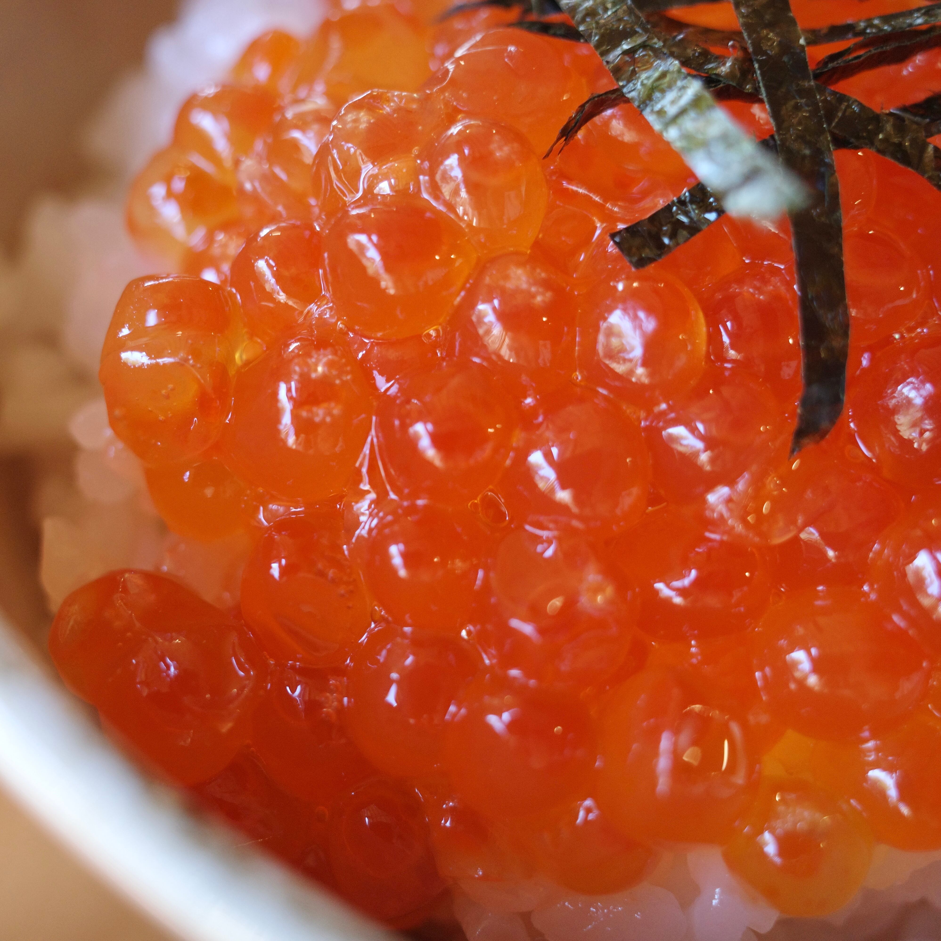 北海道知床産】イクラ醤油漬(150g) 【冷凍】 | PAY ID