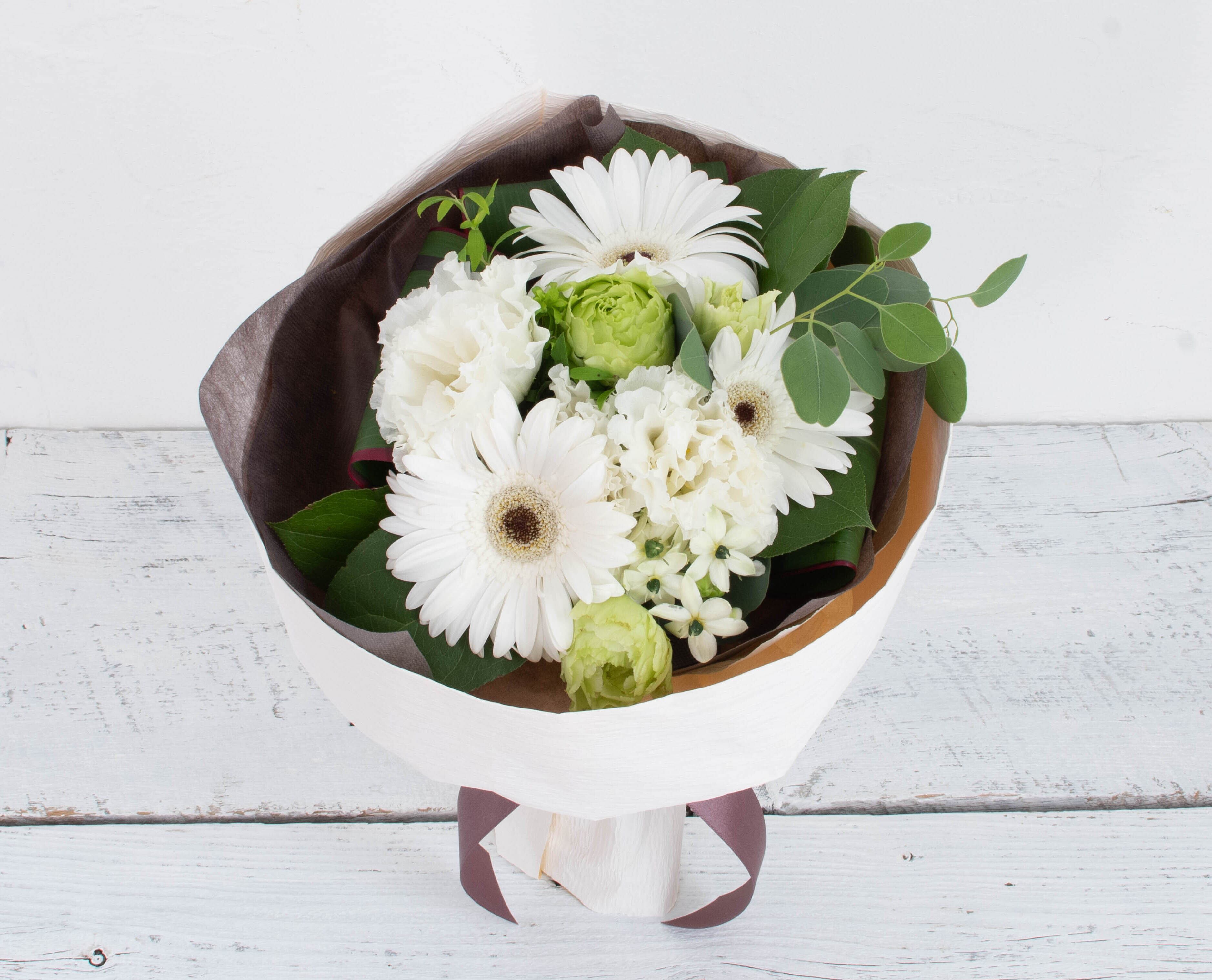 ミモザ 花材のみ「フレッシュミモザ5本セット」Lサイズ 70cm ミモザ