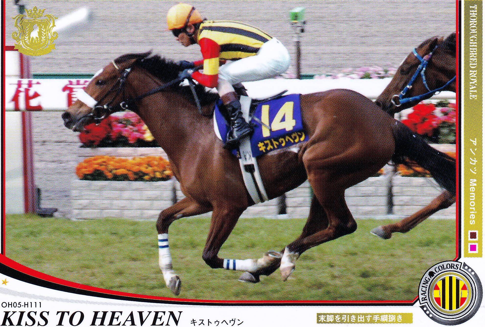 JRA 競馬 勝負服 キストゥヘヴン 吉田和子氏 中古 社台 安藤勝己騎手サイン JRA 競馬 勝負服 キストゥヘヴン 吉田和子氏 中古 社台 安藤勝己騎手
