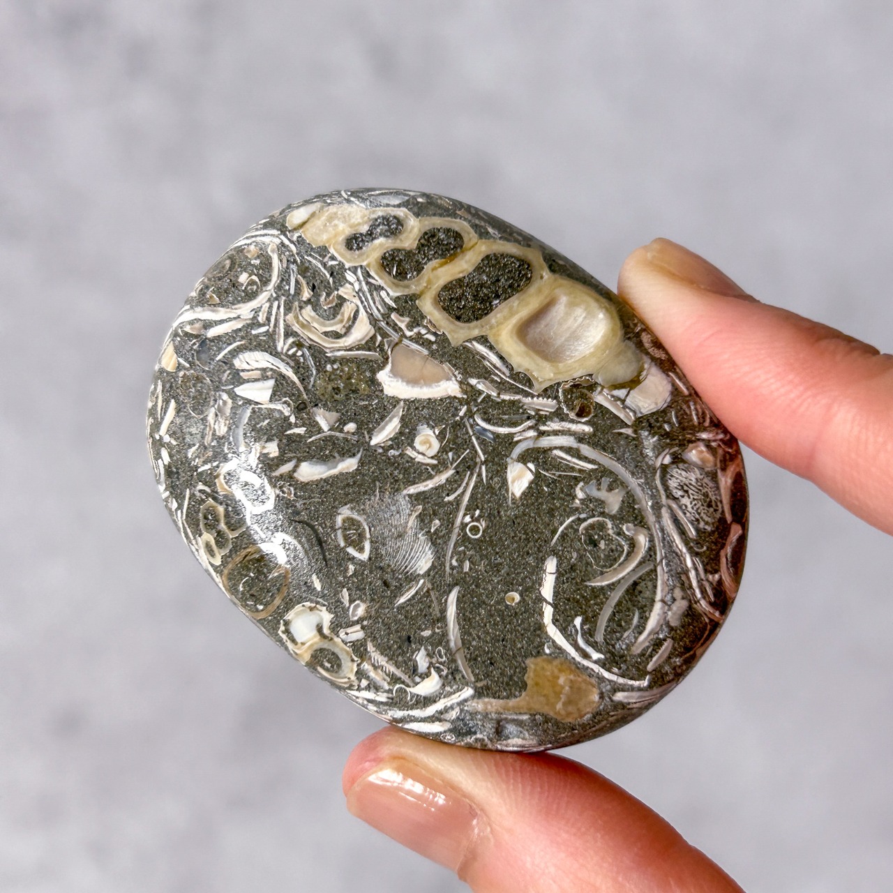 ツリテラアゲート 01 パーム * Turitella Agate * 天然石